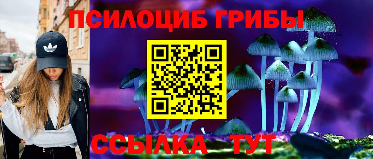 Галлюциногенные грибы мицелий Мелеуз